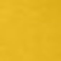 สีเหลือง💛2568