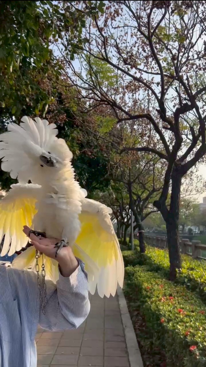 蘿蔔蘿蔔我愛你🕊️