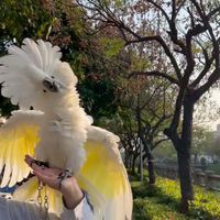 蘿蔔蘿蔔我愛你🕊️