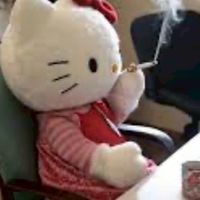 胖胖戰隊🐾