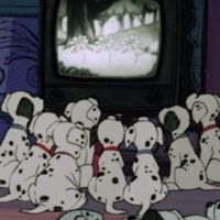 ⭐️梅吉連線代購中♡
