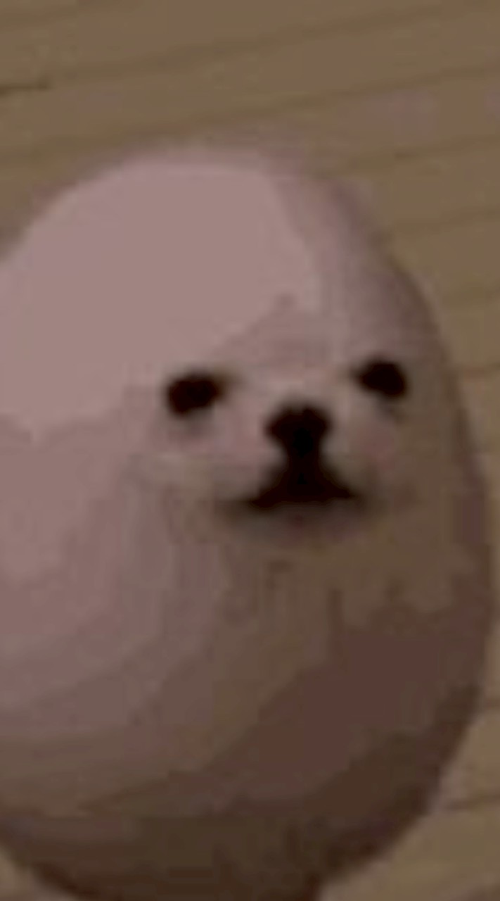 全緩　　無法地帯‼️🙌🏿🙌🏿