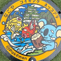 寶可夢卡牌買賣交流區
