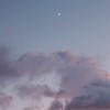 どうにかなりそうだよ　。