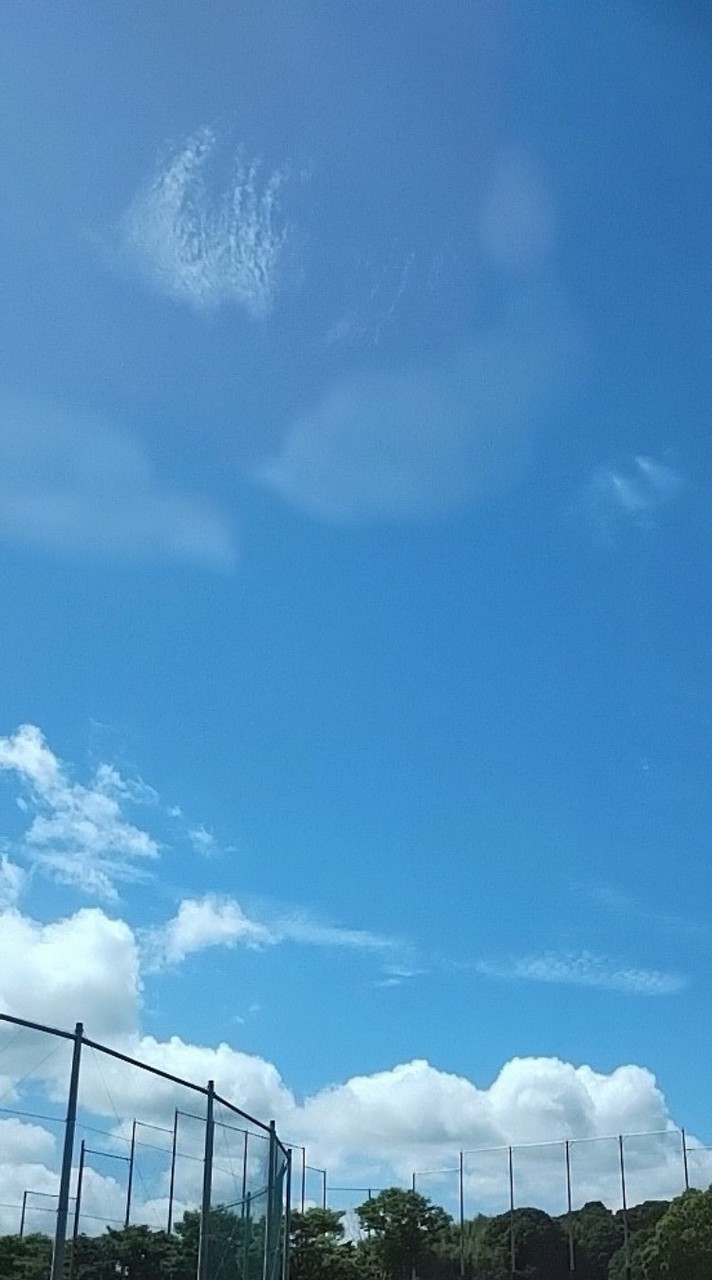 1059旅する酔虎隊☂