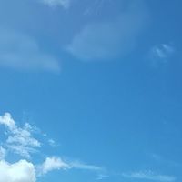 1059旅する酔虎隊☂
