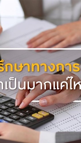 ทีปรึกษาด้านการเงินและจัดหาแหล่งนายทุน