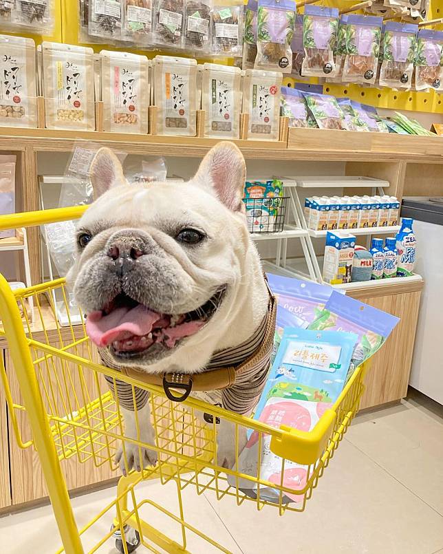  （圖片來源／IG @pixy_yy）