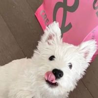 湯湯代購！