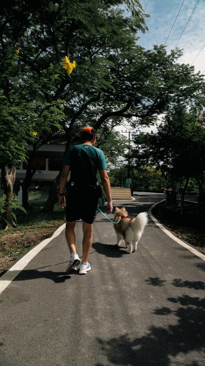 THAILAND CANICROSS EXPERIENCE SS2 - JOG & TROT🏃🔥
