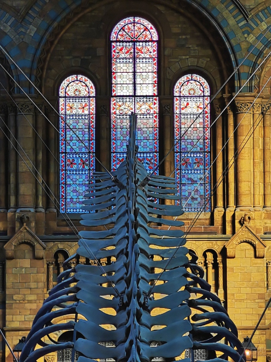 倫敦街頭實拍，HUAWEI Mate 20 Pro 矩陣式排列三鏡頭之超廣角、長焦鏡頭使用心得分享