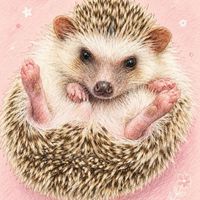 松陽基金會Fun松外出活動