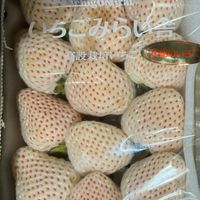 芯越嚴選進口新鮮海鮮牛肉海鮮烏魚子烏魚腱各地小吃零售批發