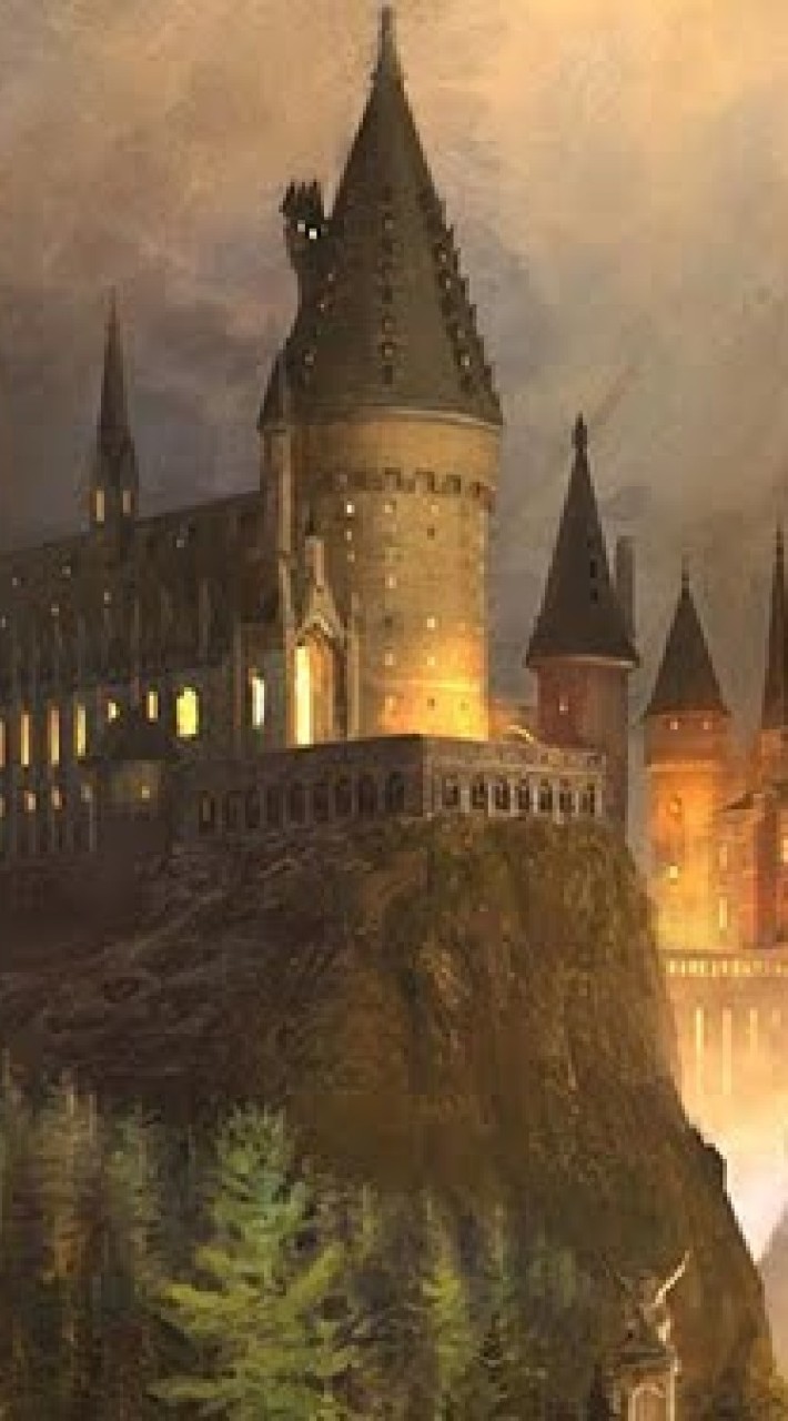 Harry  Potter