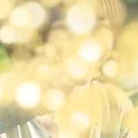 ラエ連絡所