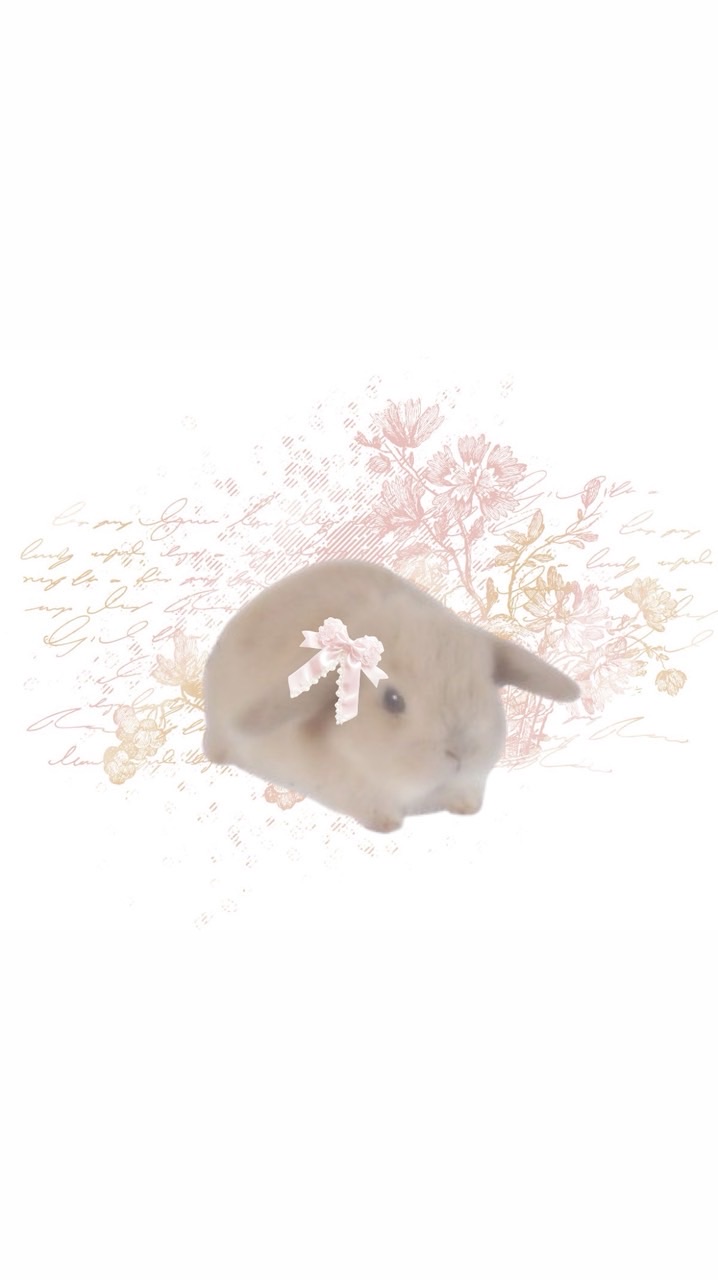 แจ้งเตือนร้านCinqcharm🐰