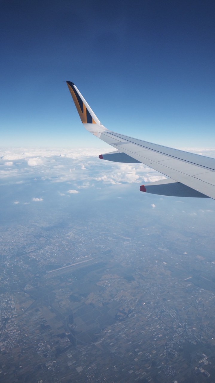 羅伊代購🇯🇵🇰🇷母嬰 麵包超人 日貨 日雜 玩具 食品