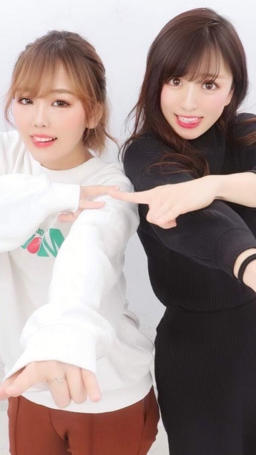 へいせいふらみんご🦩