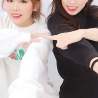 へいせいふらみんご🦩