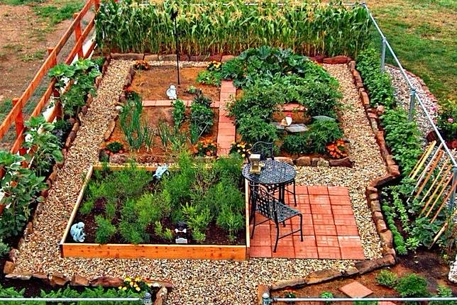 11 Inspirasi Kebun Sayur Kreatif yang Bisa Kamu Coba