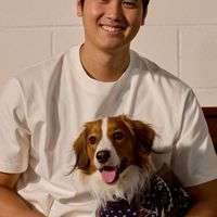 💚私だけの愛犬💚🐶🐈🐩🐈‍⬛🐕‍🦺🦮🐕もうみんなの虜🥳💯🥰🤩🐾🐾🎖️💡👑🍾🍻🥂🏆