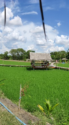 เที่ยวตามอากู๋