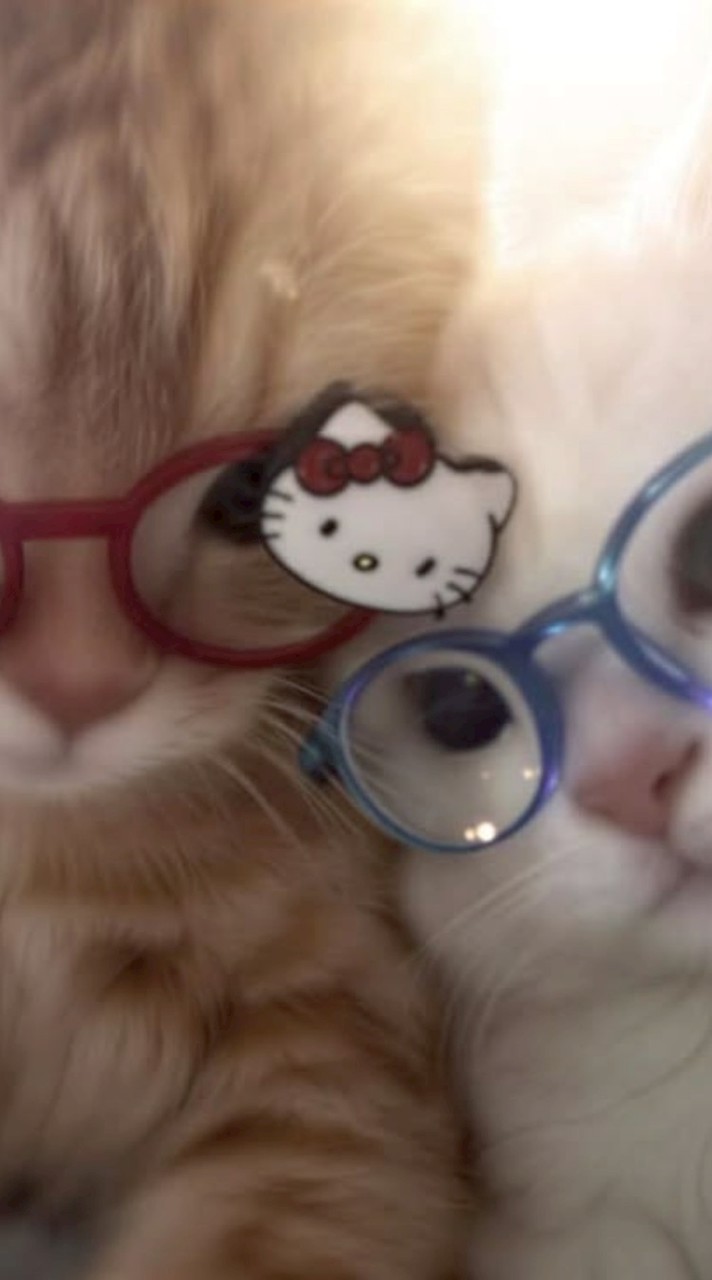 𓈒 🍮 { ༷ཾׅ♡ agׅent𓈒   ׅ ּ  ᱹstׅicker lּine ＆ aׅpp 𓈒💌 ༷}ׅᄑ𓂂ཾ2