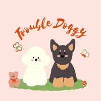 TroubleDoggy｜寵物玩具、用品｜寵物零食