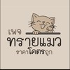 ร้านทรายแมวราคาโคตรถูก