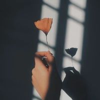 隨意談天與對戲