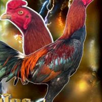 ไก่ชนบ้านจานเอก