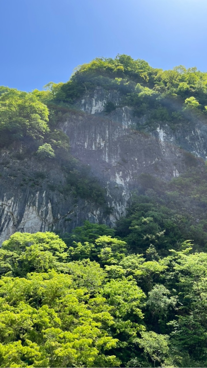 水羽さんのTwitter手伝って（仮）のオープンチャット