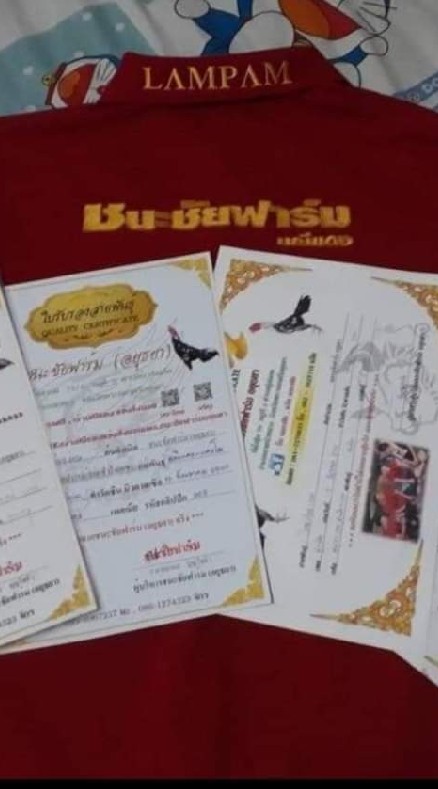ซื้อขายไก่ชน