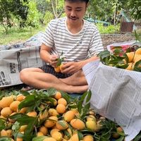 PTK ผลไม้ตามฤดูกาล By.ดรีม