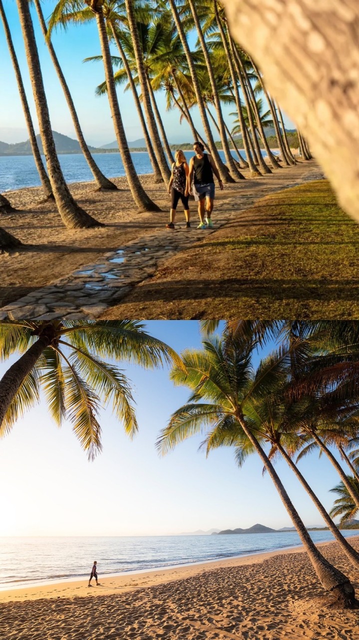 ケアンズ🌴🇦🇺留学情報交換