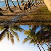 ケアンズ🌴🇦🇺留学情報交換