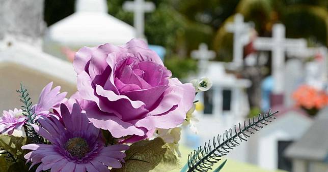 嗡嗡嗡！8旬翁出席兒喪禮被蜂螫亡　兩人「遺體埋一起」