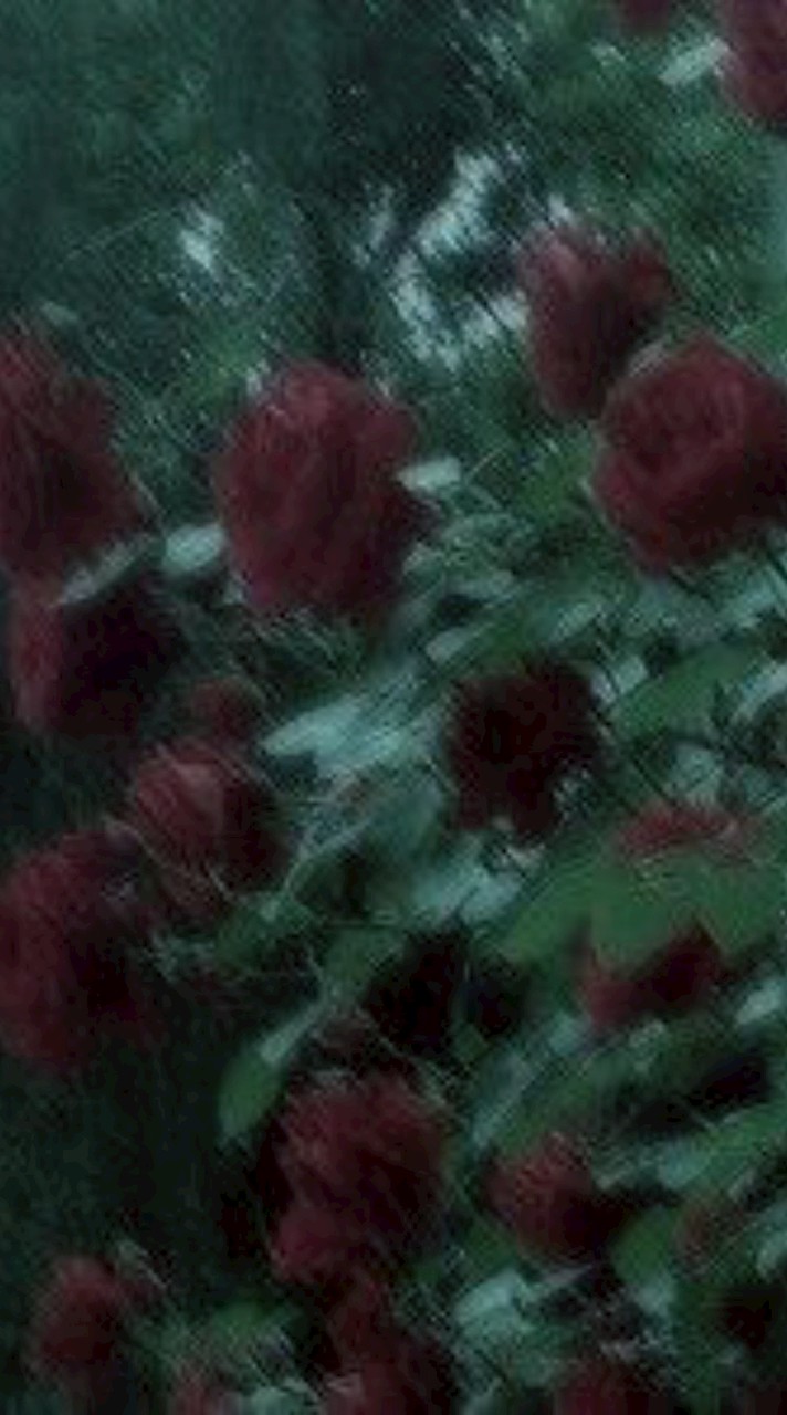 𝑆𝐺𝐵𝐺_𝐴𝑈