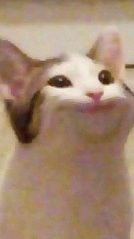 猫ミームアンチ撲滅隊
