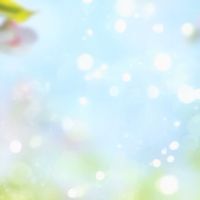 新規オープン❗️陽だまりカフェ☕️40代50代おしゃべり🎵恋バナ🩷ライブトーク✨