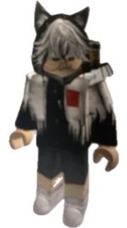 流感Roblox粉絲群