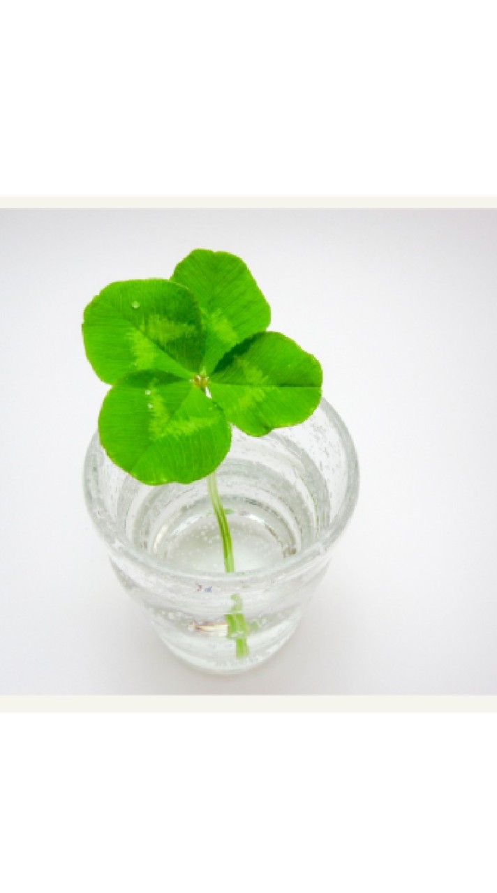 雑談ルーム🍀関西限定　アラフォーメイン