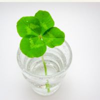 雑談ルーム🍀関西限定　アラフォーメイン