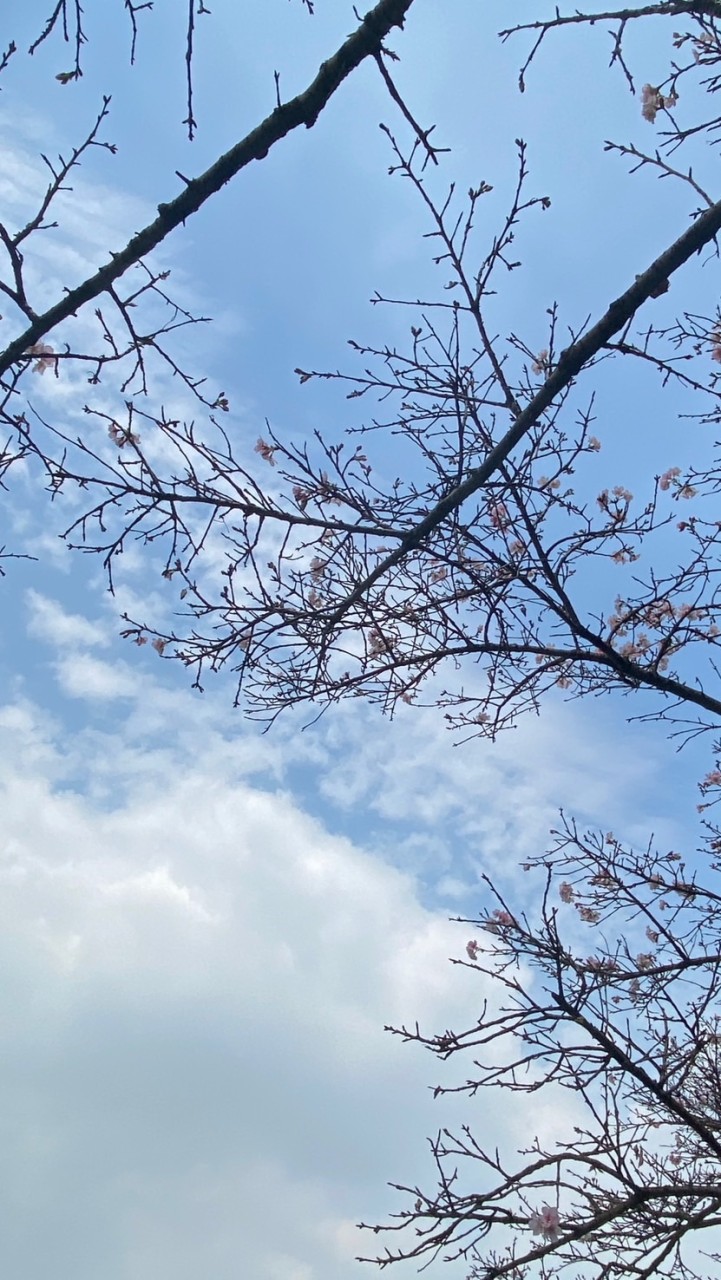 🌈女同志師字輩交流園地40以上，拒男🌈