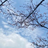🌈女同志師字輩交流園地40以上，拒男🌈