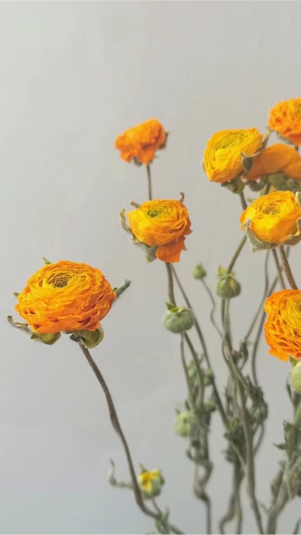 乾燥花·籃子在台中-第六市場限定