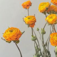 乾燥花·籃子在台中-第六市場限定