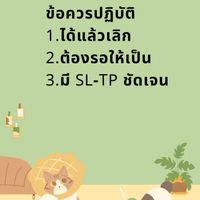 เทรดง่ายๆ พารวย คุยสบายๆ สไตล์ป๋าเล็ก❤️🇱🇦🇱🇦🇱🇦