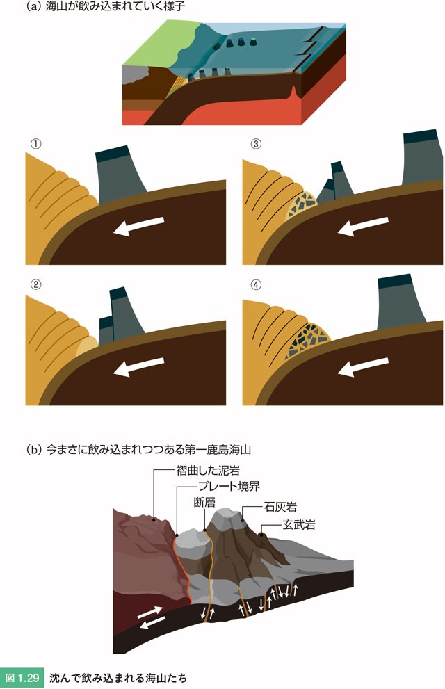 3000万年前に大陸からちぎれて今の形に 日本列島形成の真相に迫る 新版 絵でわかる日本列島の誕生