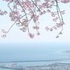チームチャット【アンビ・ア】